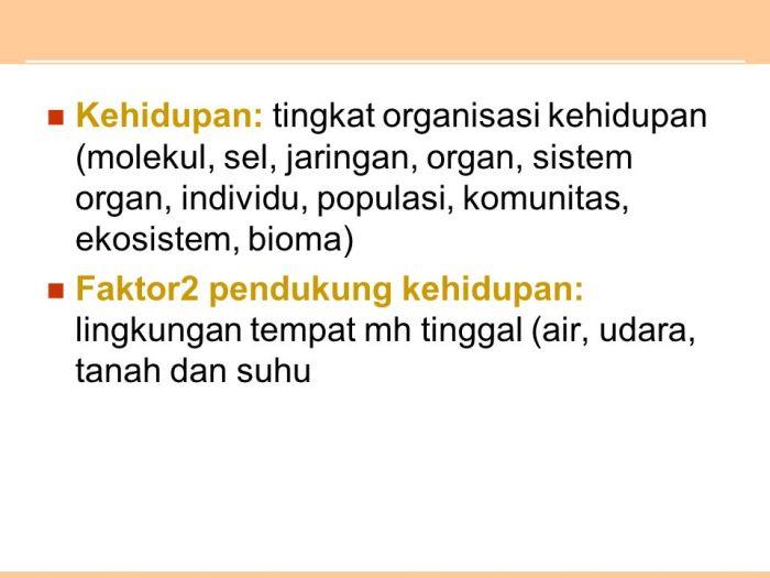 116a25dcbe98675