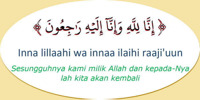 116a25dcda2d9f4