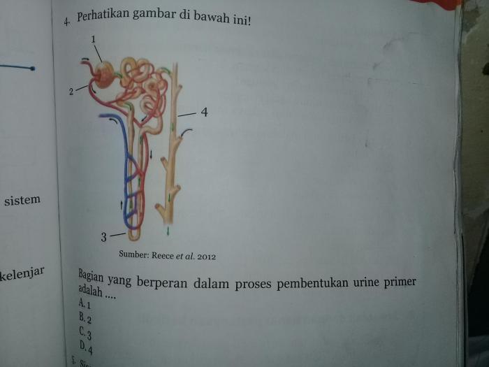 116a25dcec7e3d2
