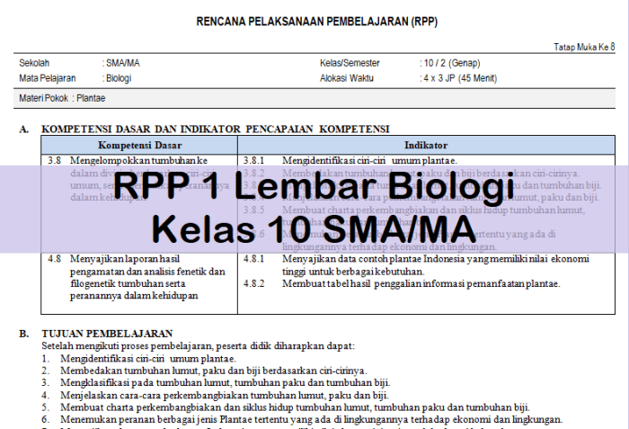 116a25e0db9e205