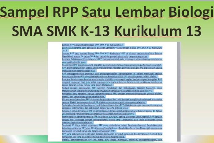 116a25f817a7fb5
